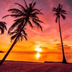 Meet your Posher, Alina